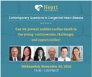 Can we prevent sudden cardiac death - thumbnail